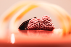 Rubamy Vivi il Dolce